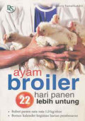 Ayam Broiler : 22 Hari Panen Lebih Untung